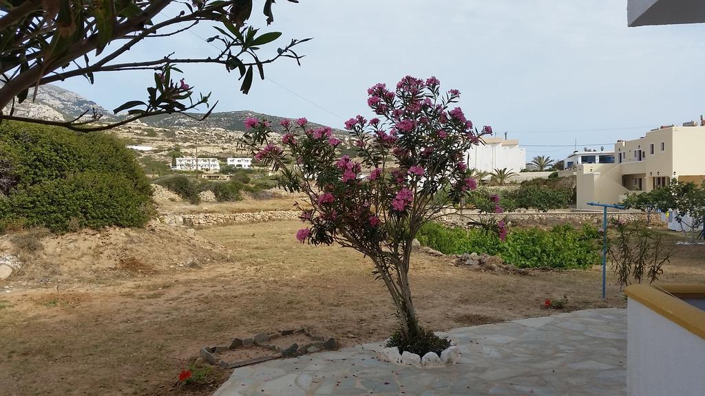 Aegean Sea Apartment Lefkos  Luaran gambar
